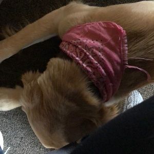 Meet your Posher, Erika